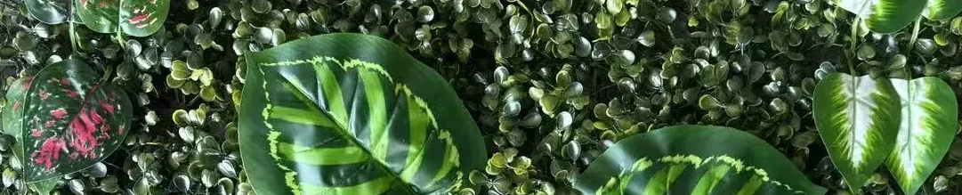 Ofertas en moda, electrónica y hogar – ¡Compra con súper descuentos!